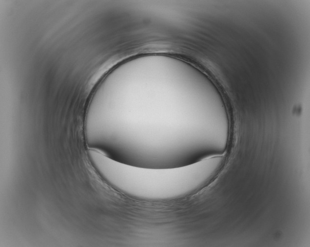 X0000115001465200911161526