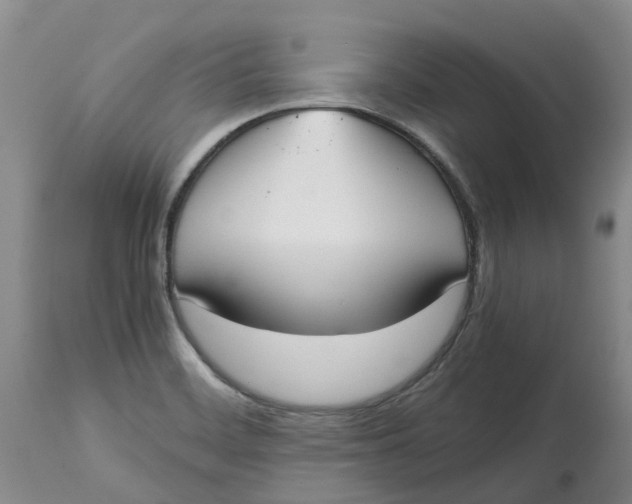 X0000115001468200911161526