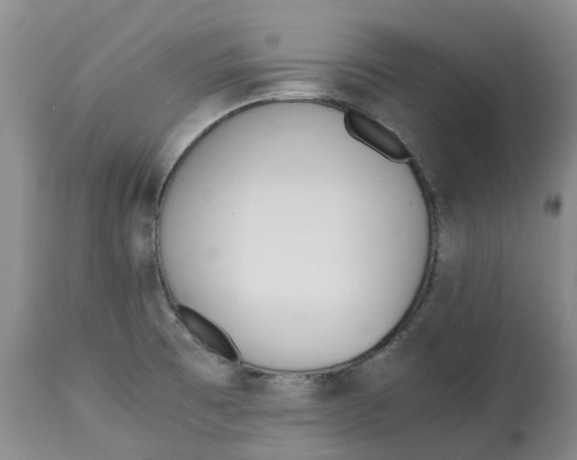 X0000115001473200911161525