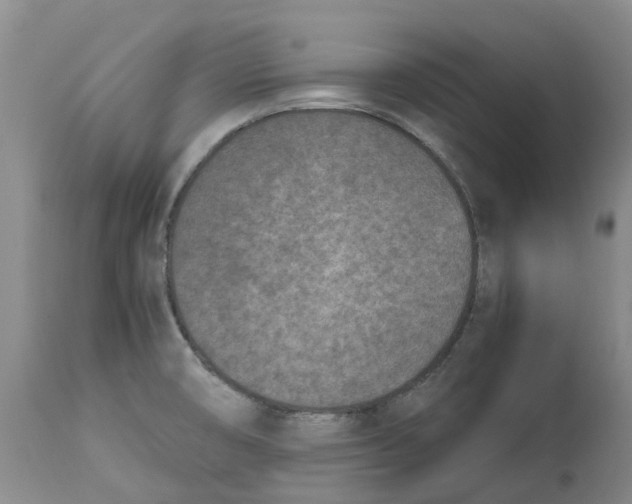 X0000115001474200911161525