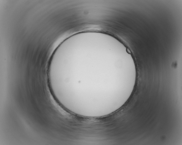 X0000115001475200911161525