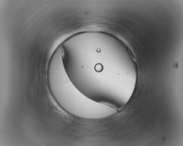 X0000115001477200911161525