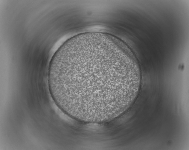 X0000115001478200911161525