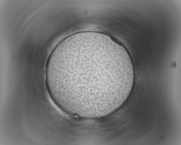 X0000115001479200911161525