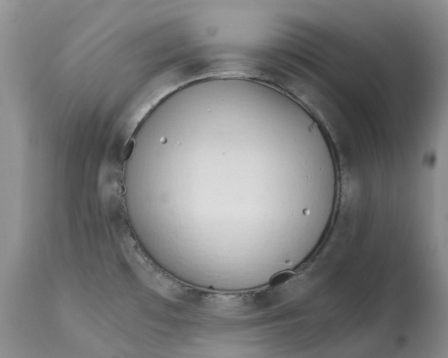 X0000115001481200911161525