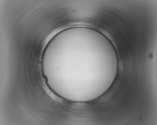 X0000115001482200911161525