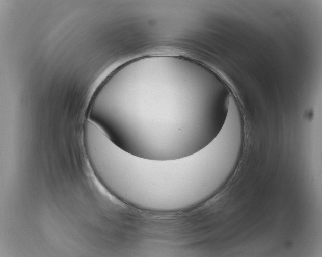 X0000115001484200911161525