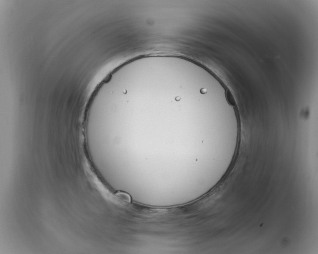 X0000115001485200911161525