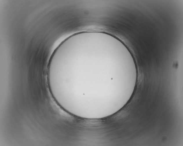 X0000115001486200911161525