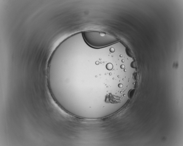 X0000115001487200911161525