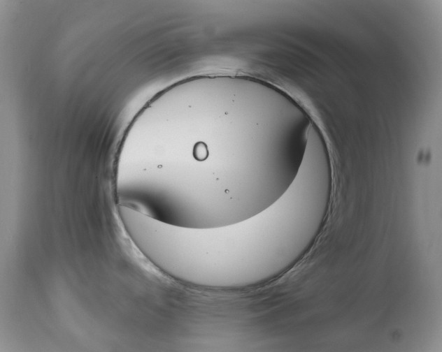 X0000115001488200911161525