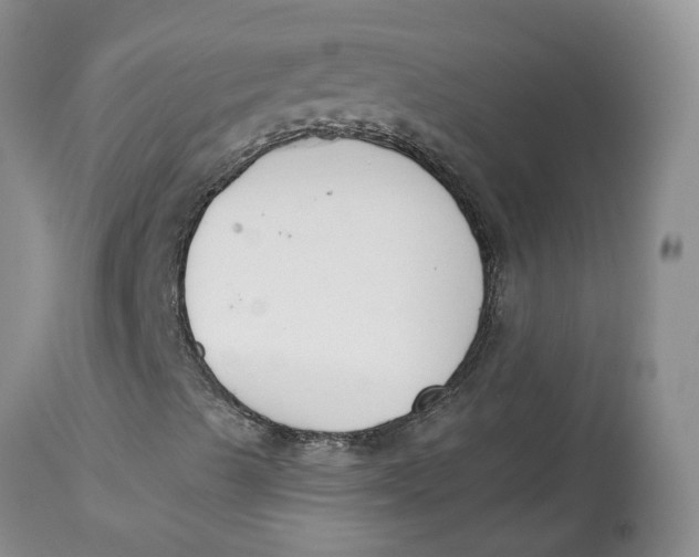 X0000115001489200911161524