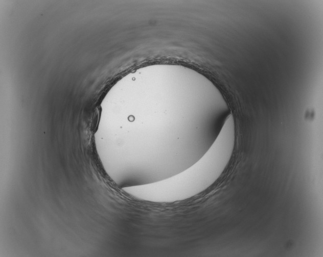 X0000115001491200911161524