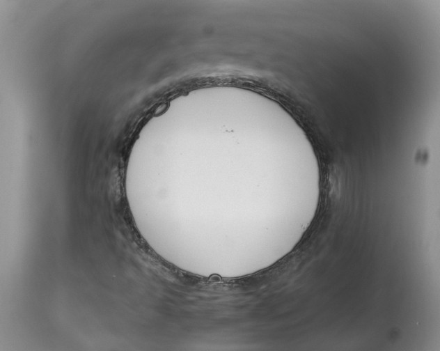 X0000115001493200911161524