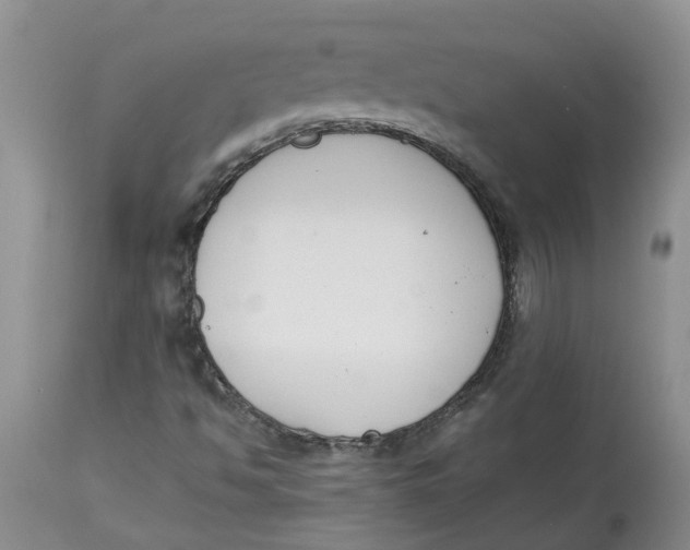 X0000115001494200911161524