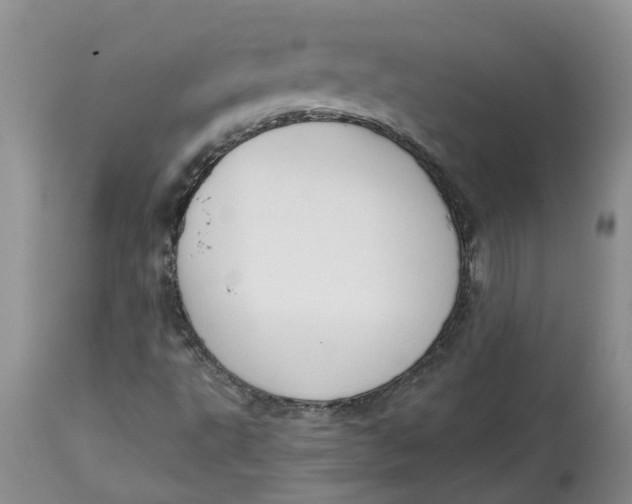 X0000115001495200911161524