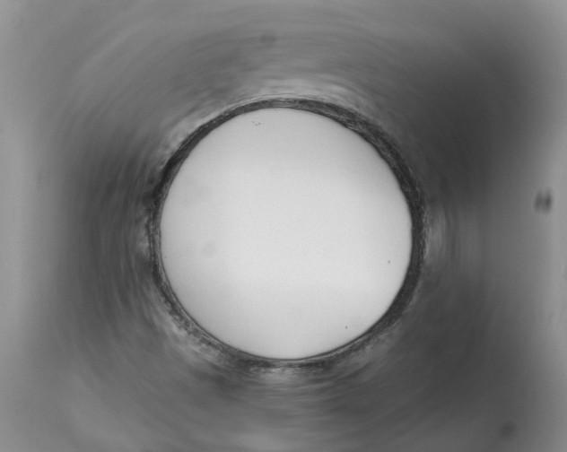 X0000115001497200911161525