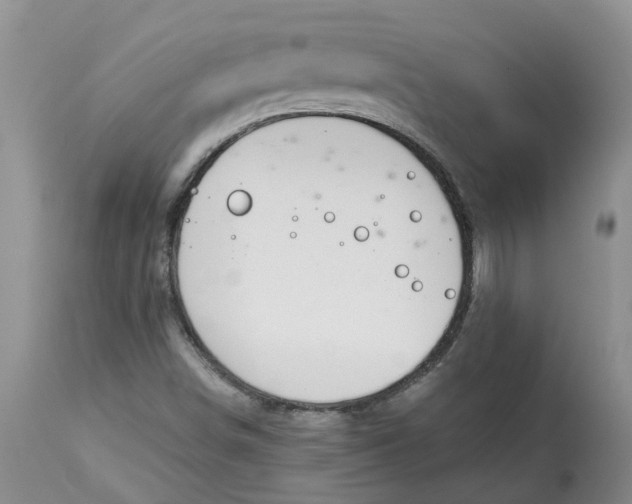 X0000115001498200911161525