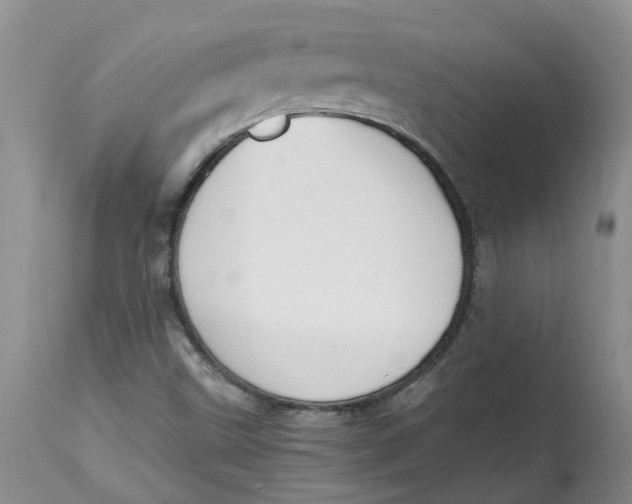 X0000115001499200911161525