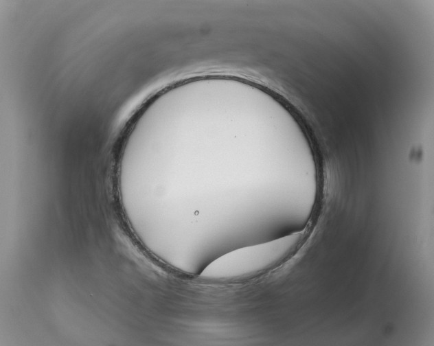 X0000115001502200911161525