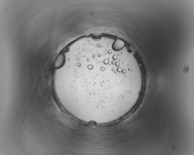 X0000115001505200911161525