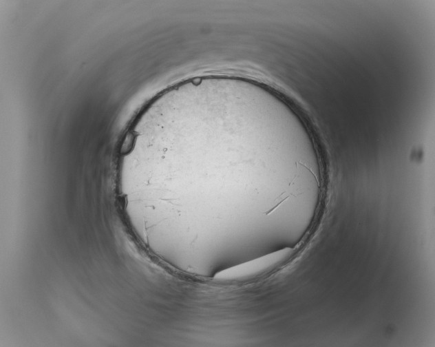 X0000115001506200911161525