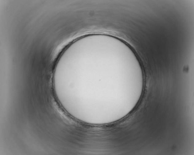 X0000115001507200911161525