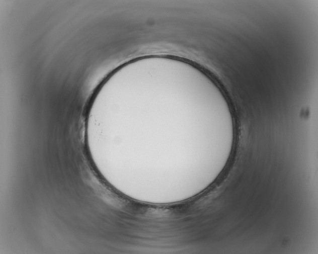 X0000115001509200911161525