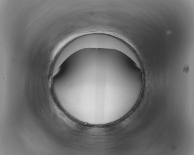 X0000115001510200911161525