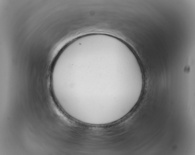 X0000115001511200911161525