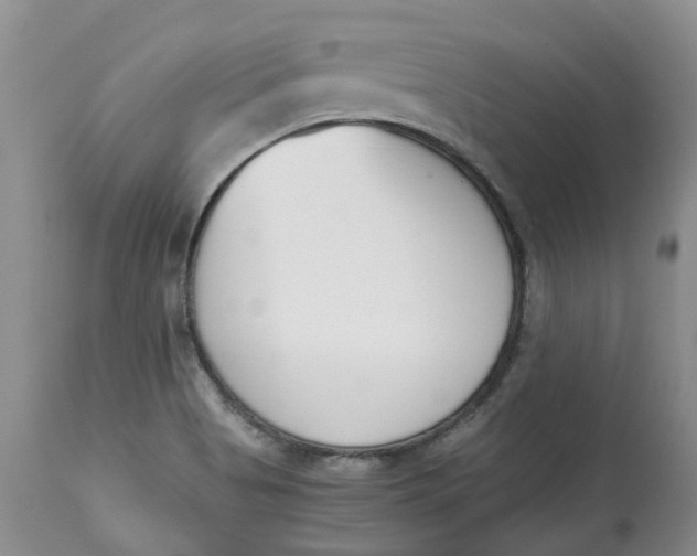 X0000115001513200911161525