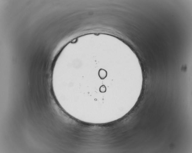 X0000115001514200911161525