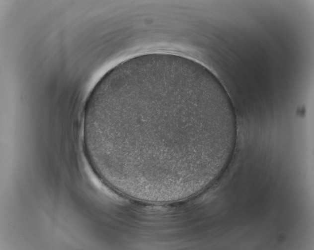 X0000115001515200911161525