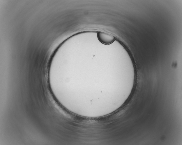 X0000115001517200911161525