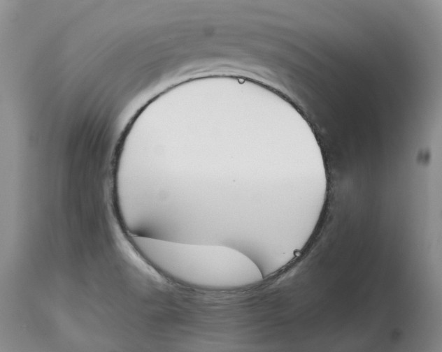 X0000115001518200911161525