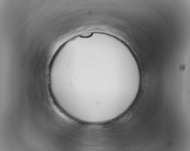 X0000115001519200911161525