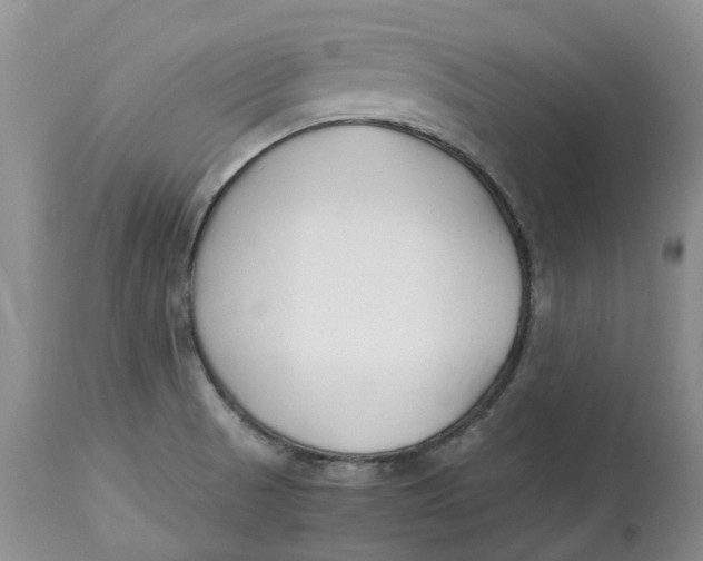 X0000115001521200911161525