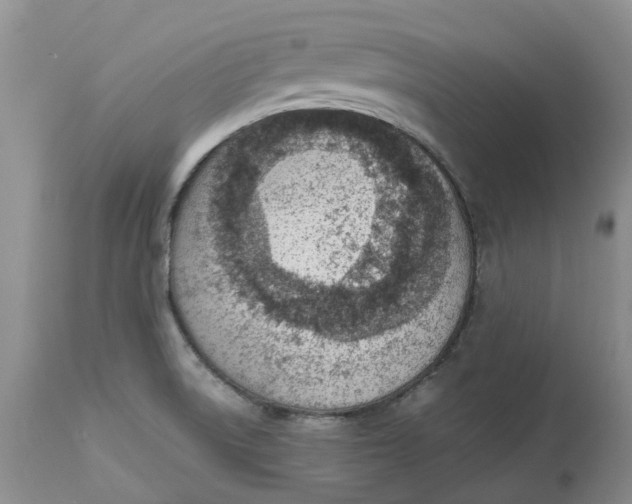 X0000115001522200911161525