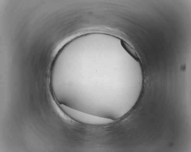 X0000115001523200911161525