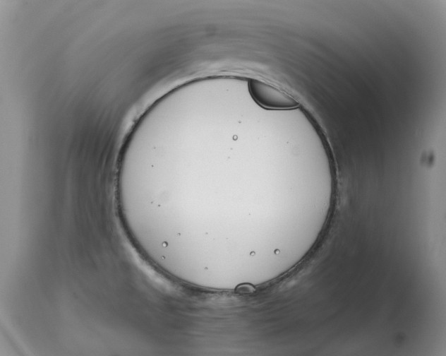 X0000115001525200911161525