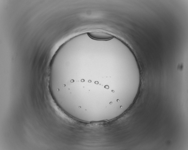 X0000115001526200911161525