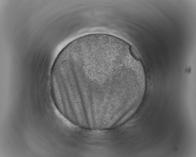 X0000115001527200911161525