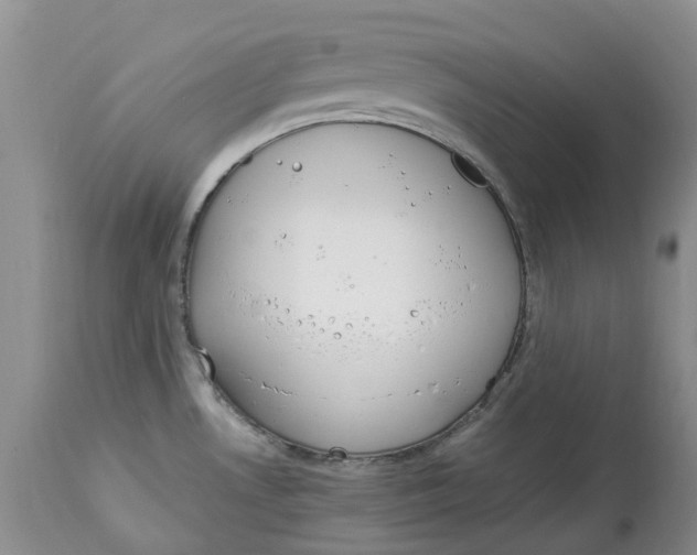 X0000115001530200911161525