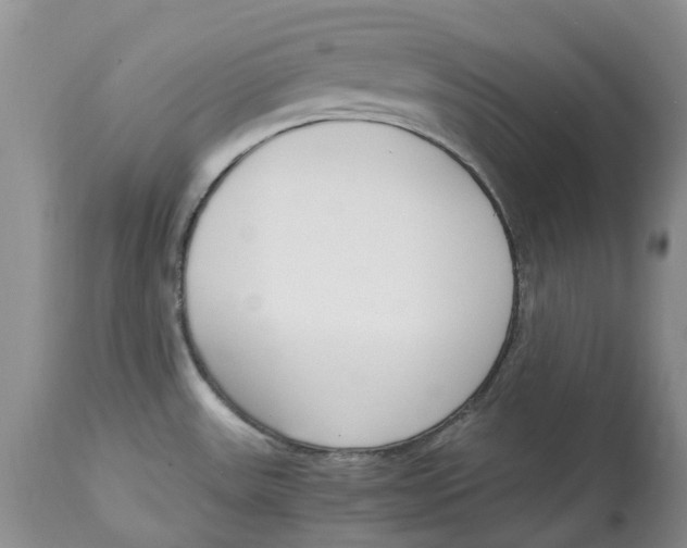 X0000115001531200911161525