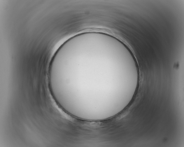 X0000115001533200911161525