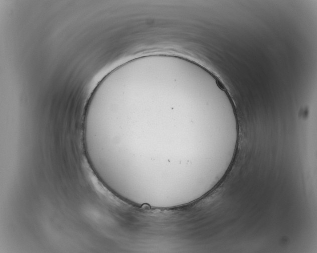 X0000115001534200911161525