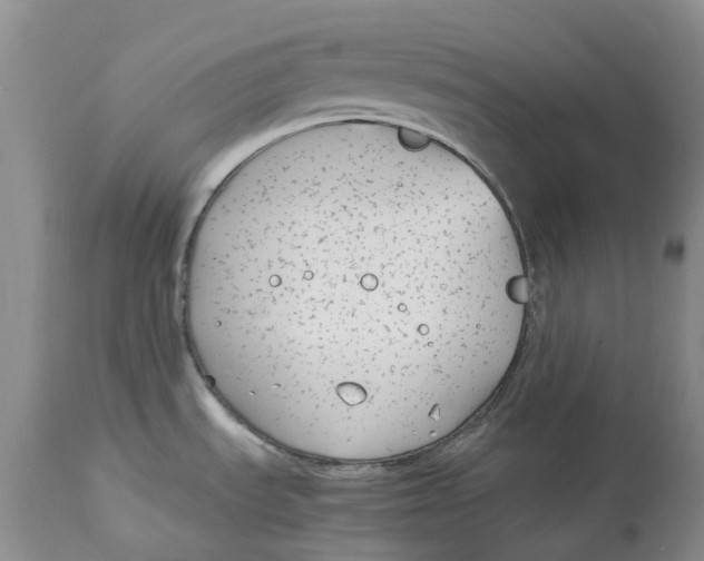 X0000115001535200911161525