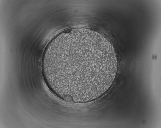 X0000115000002200911231215