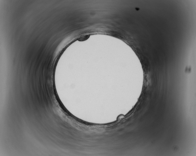 X0000115000004200911231215