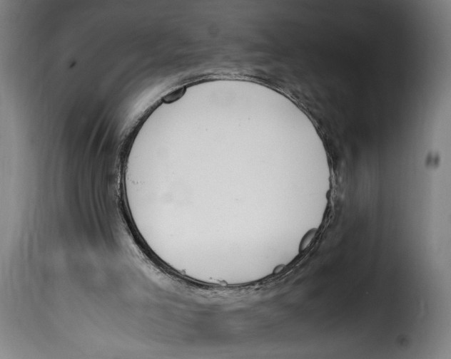 X0000115000005200911231215